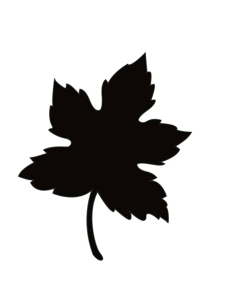 6 Free Fall Leaf Stencils Printable PDFs 