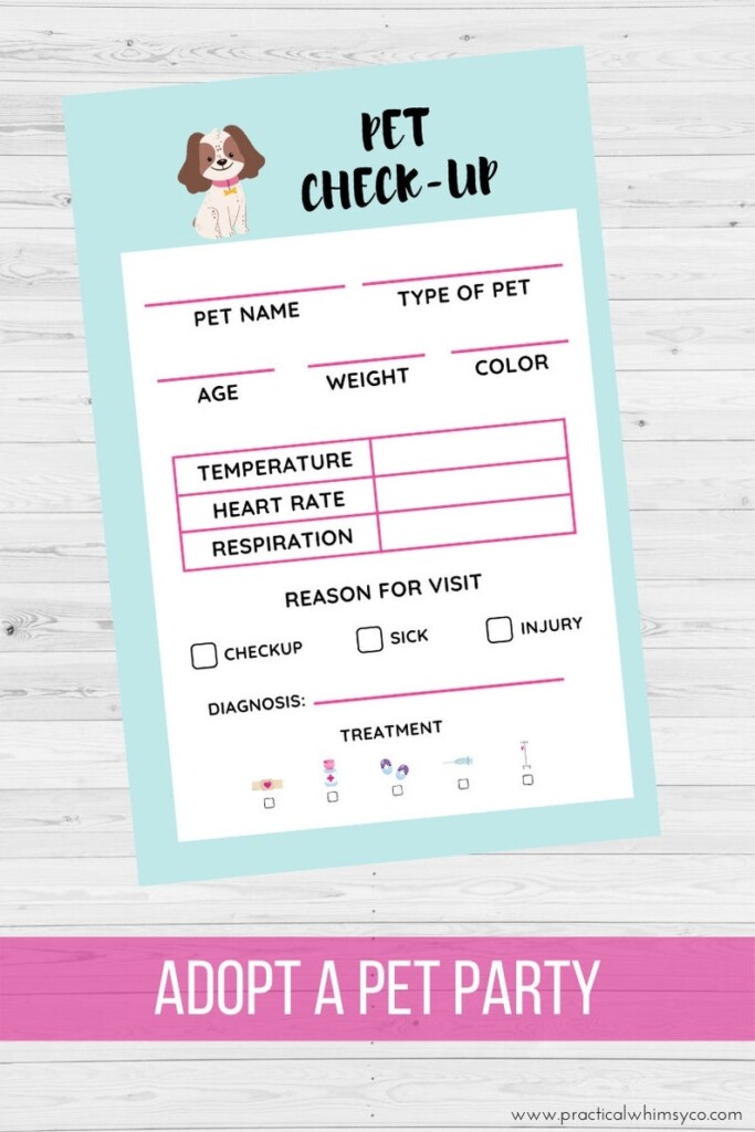 Adopt A Pet Party Printables Cat Party Adoption Certificate Etsy