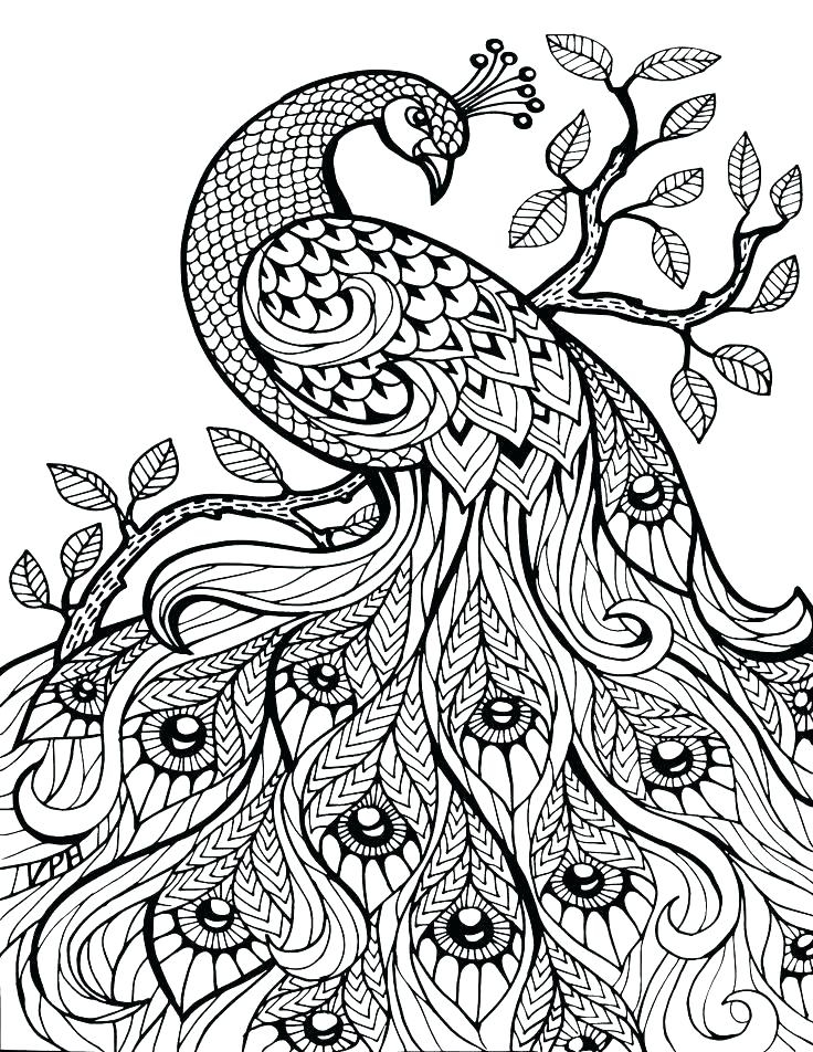 Animal Mandala Coloring Pages Free Printable At GetColorings Free 