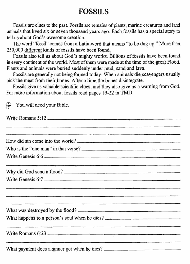 Answers In Genesis Free Printables Printable Word Searches