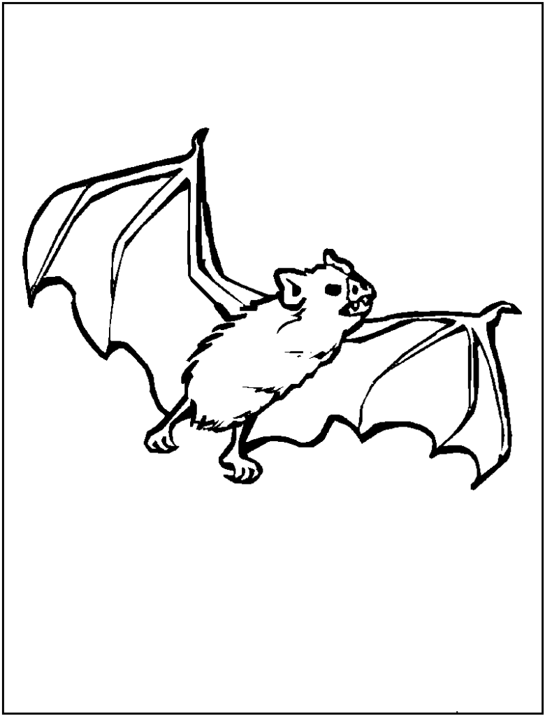 Bat Coloring Pages Free Printable
