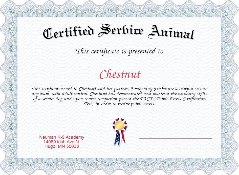 Blank Free Printable Service Dog Certificate Printable Calendars AT A
