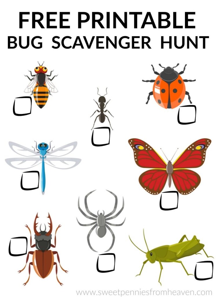 Bug Scavenger Hunt Printable