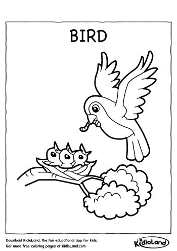 Download Free Bird Coloring Page And Educational Activity Worksheets