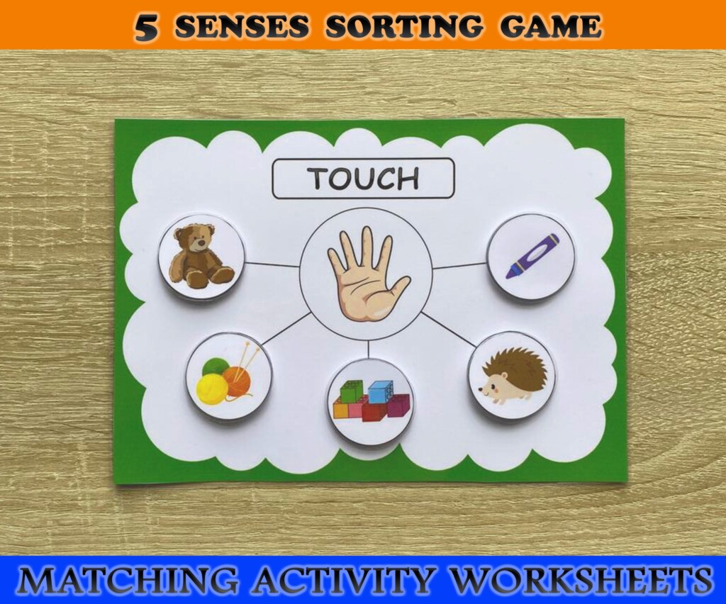 Five Senses Sorting Activity Printable Senses Sorting Stickhealthcare 