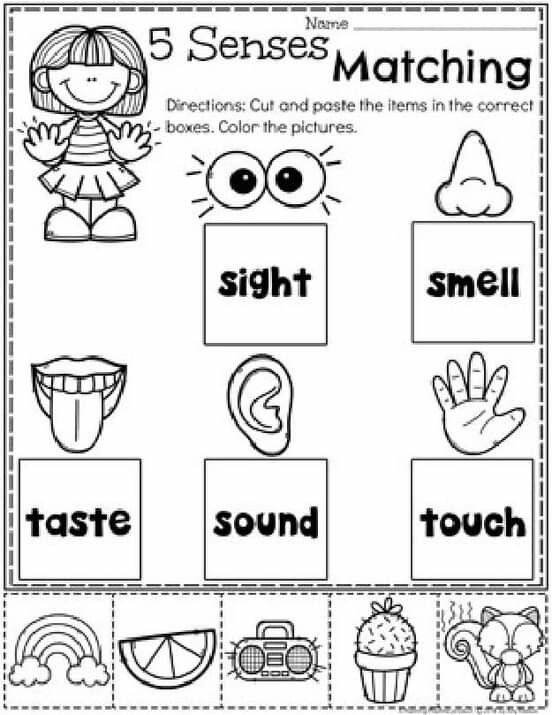 Five Senses Sorting Printable Free