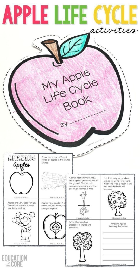 Free Apple Life Cycle Printable