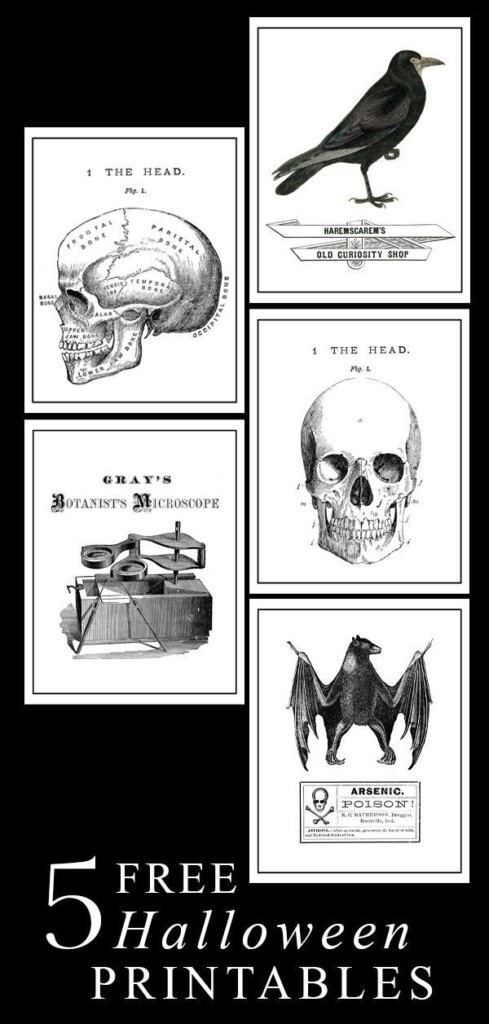 Free Black And White Halloween Printables Artofit