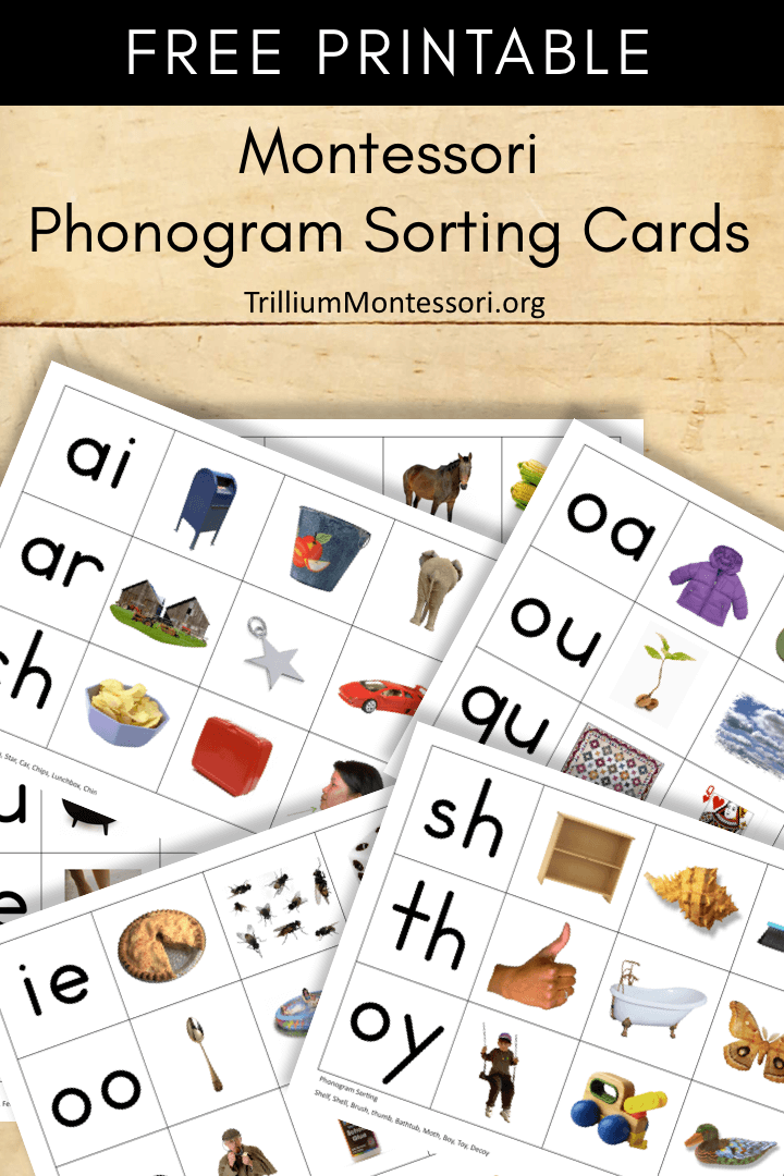 Free Montessori Printable Phonogram Sorting
