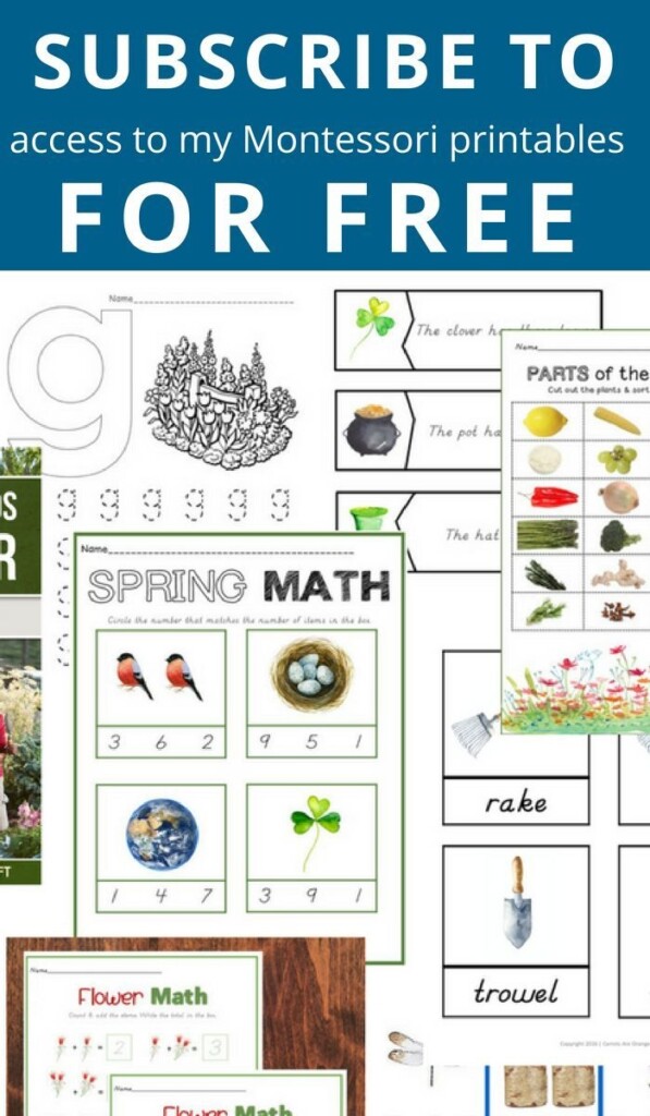 Free Montessori Printables Pdf