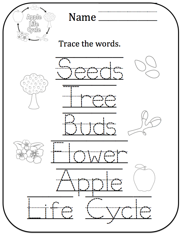 Free Printable Apple Life Cycle Printable