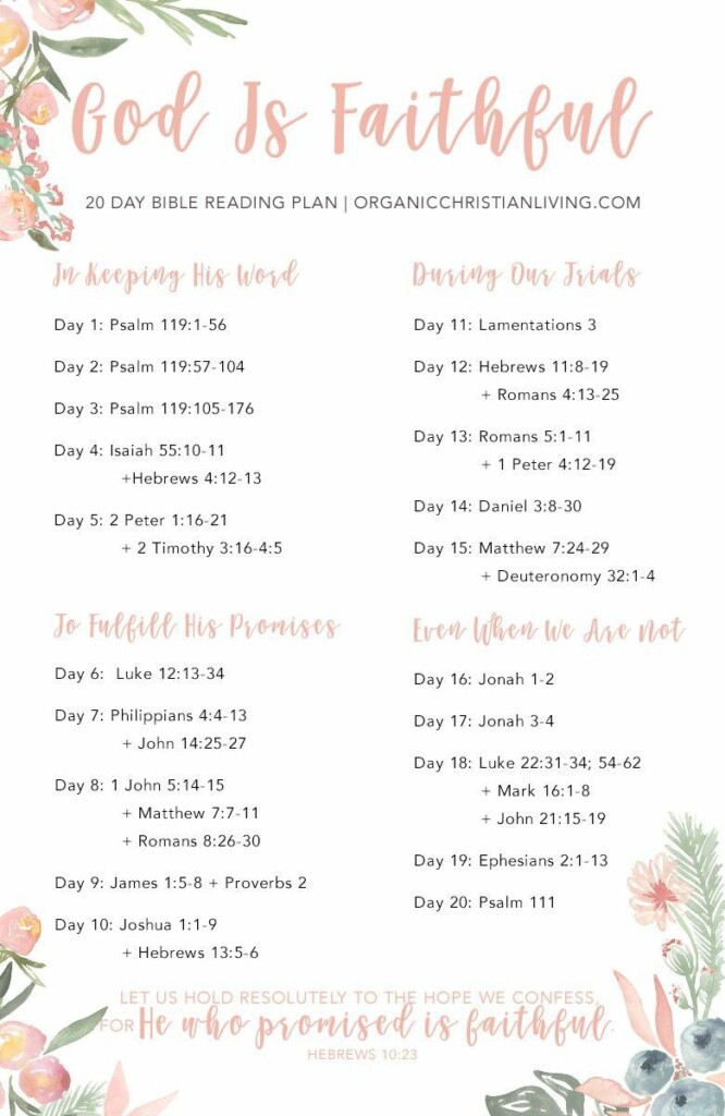 Free Printable Bible Reading Plan For Beginners Calendar Printables