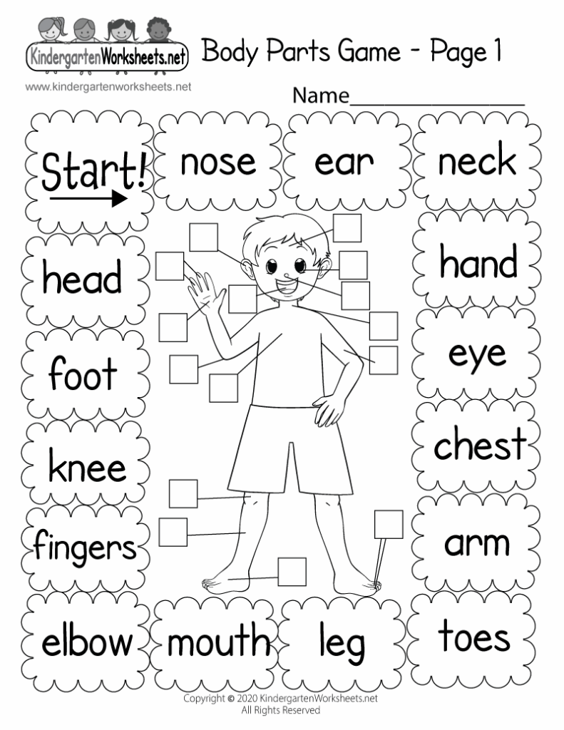 Free Printable Body Parts Worksheets Printable Worksheets