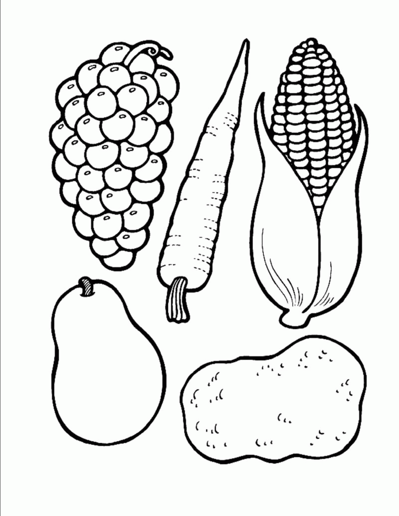 Free Printable Cornucopia Coloring Pages Coloring Home