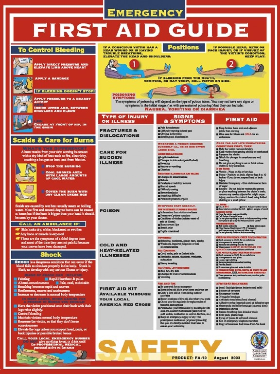 Free Printable First Aid Pocket Guide