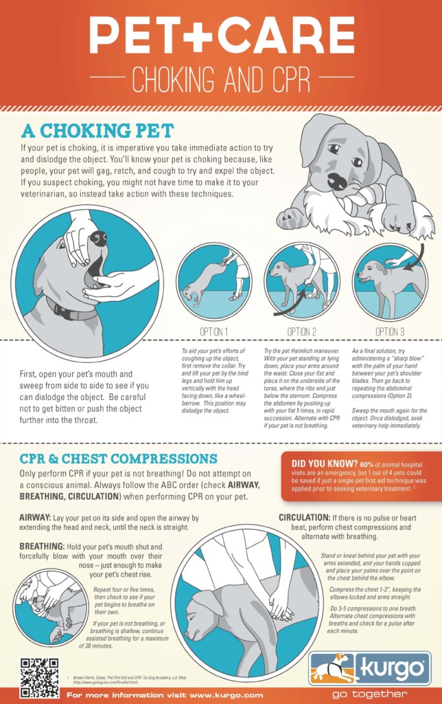 Free Printable Pet Cpr And Emergency Dog Pet Medical Posters How To Do 