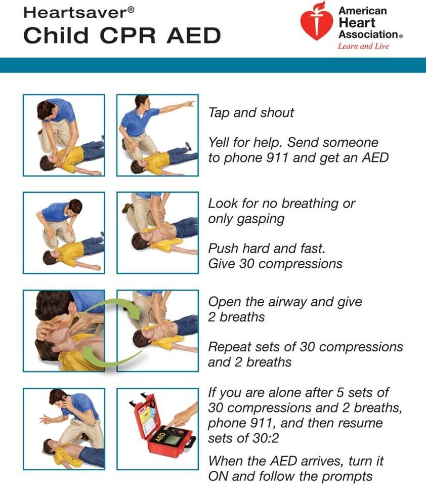 Infant Cpr Printable Printable Sight Words List