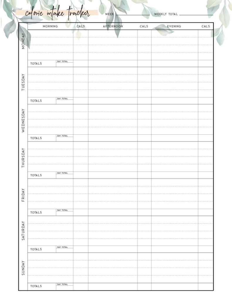Pin Em Fitness Journey