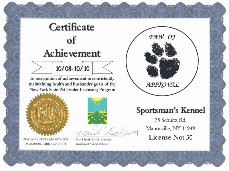 Printable Blank Service Dog Certificate Printable Word Searches