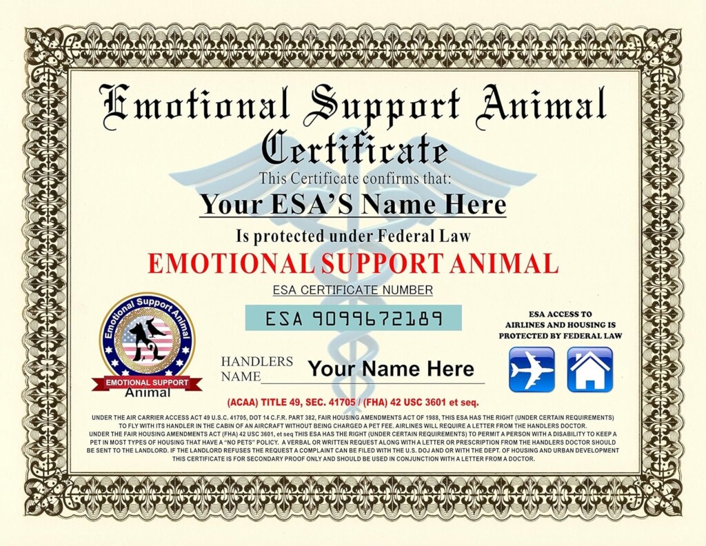 Service Dog Certificate Template Printable Printable Templates