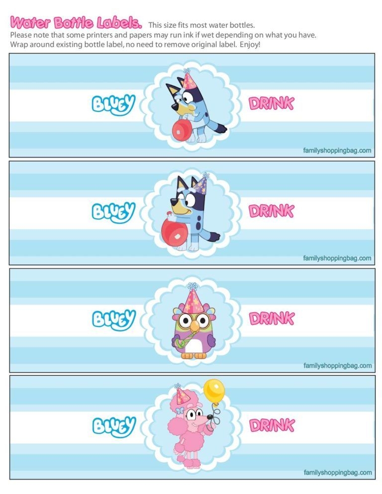 Water Labels Bluey 2nd Birthday Party Themes Birthday Party Themes